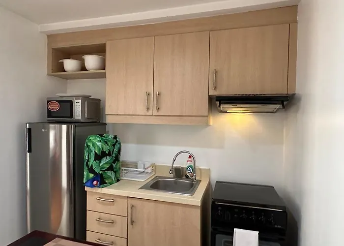 Tropical Wood W Balcony Near Greenbelt Pool And Gym Access Apartment Manila
